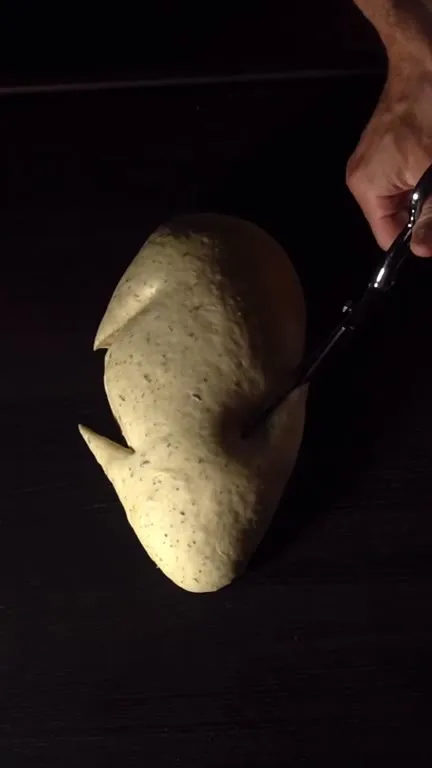 Peculiar Frog Baking