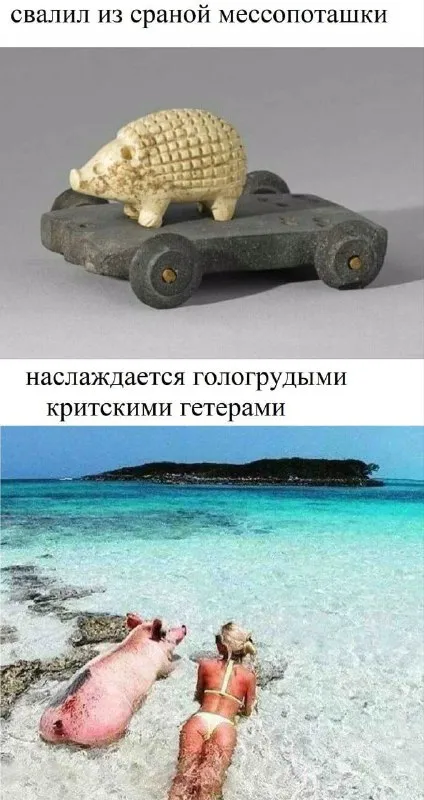 Свалил из сраной мясопоташки