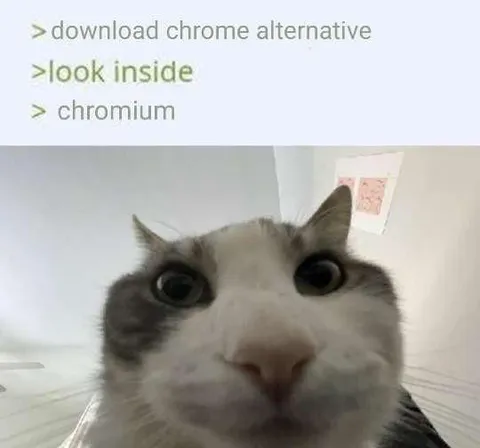 Chrome Alternative Cat