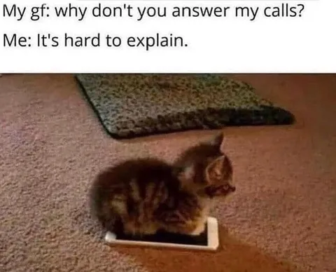 Cat Avoids Explaining Calls