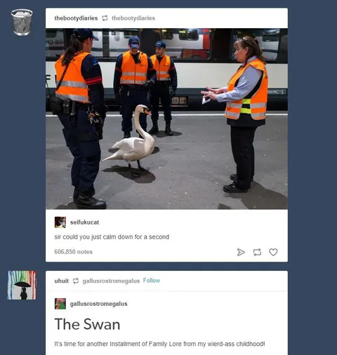 The Swan Family Lore