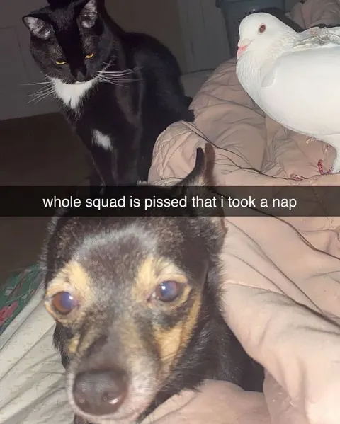 Whole Squad Is Pissed