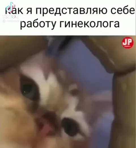 Как я представляю работу гинеколога
