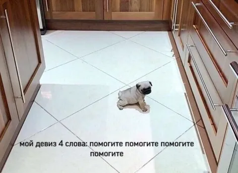 Мой девиз: помогите