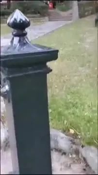 Кот открывает уличный кран