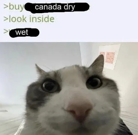 Buy Canada Dry, Look Inside
