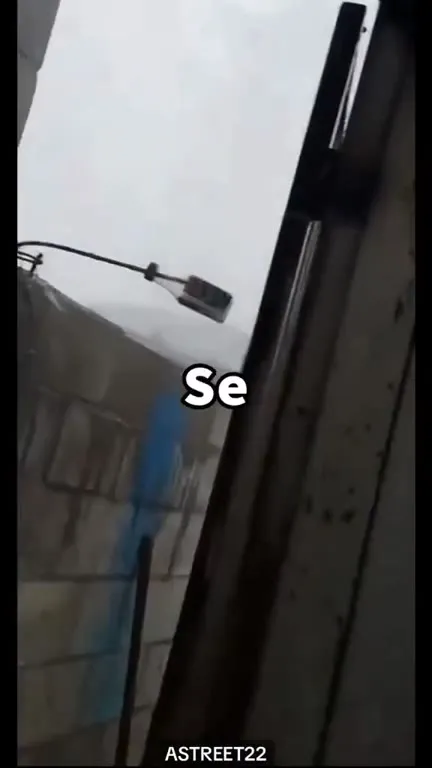 El gato contra el Chiken Lirul