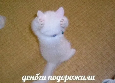 Деньги подорожали