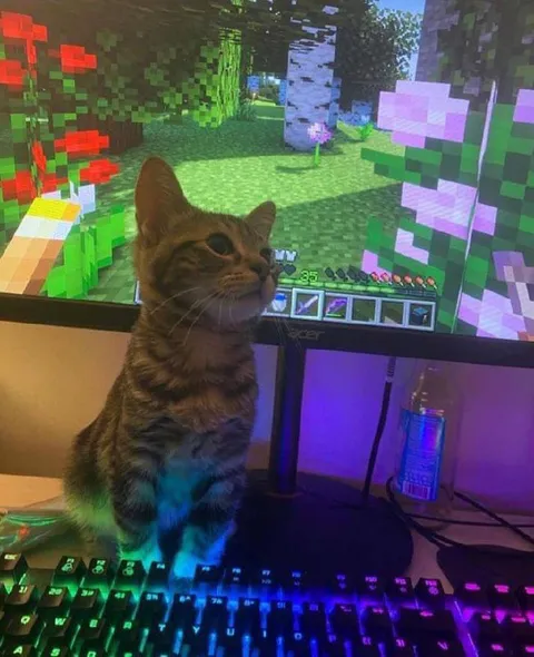 Кот играет в Minecraft