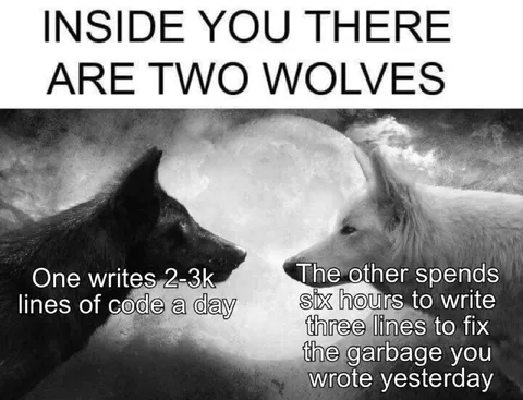 Two Wolves of Programming