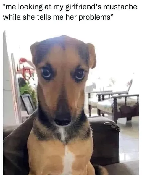Dog Distracted by Girlfriend's Mustache