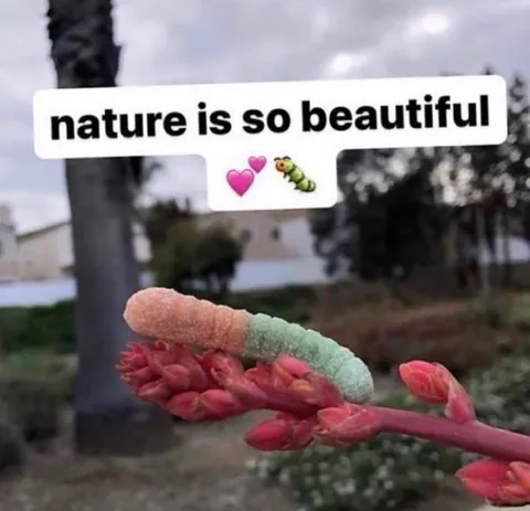 Nature Is So Beautiful