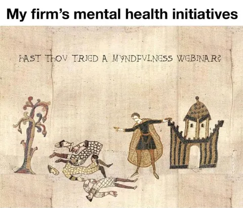 Mental Health Initiatives Webinar