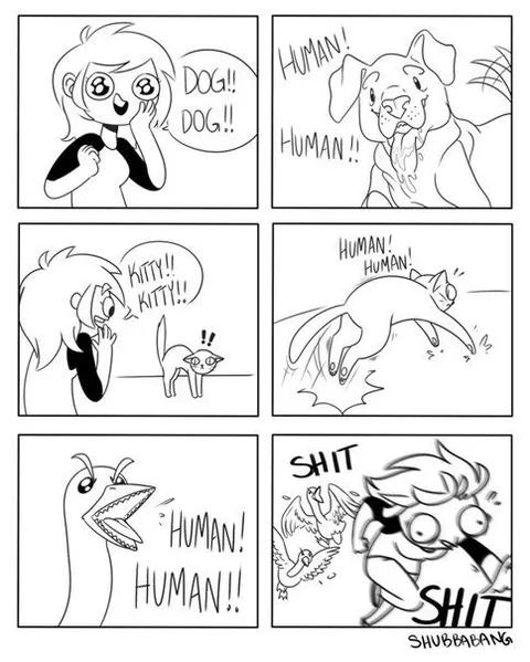 Animals Discover Humans