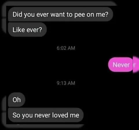 Never Loved Me