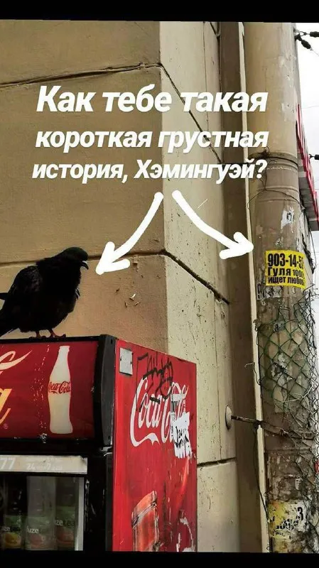 Короткая грустная история Хэмингуэя