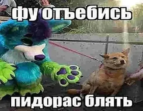 Фу, отъебись — пидорас