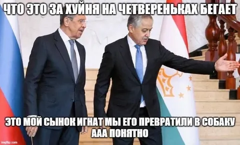 Сынок, которого превратили в собаку
