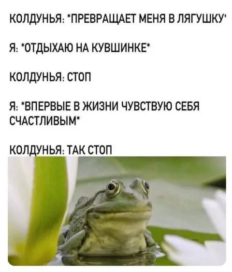 Лягушка впервые счастлива
