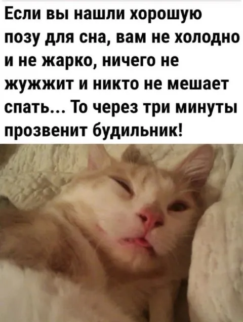 Идеальная поза перед будильником
