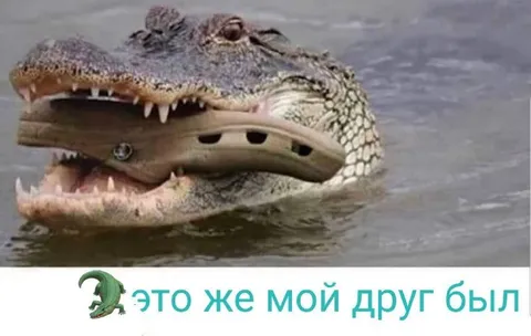 Крокодил съел тапок