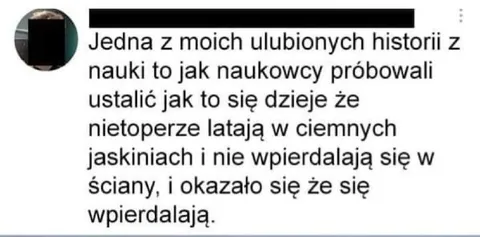 Nietoperze wpierdalają się w ściany