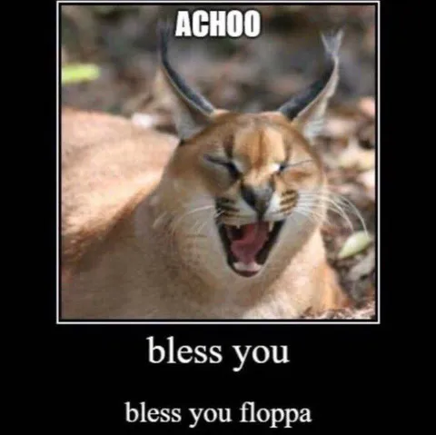 Bless You Floppa