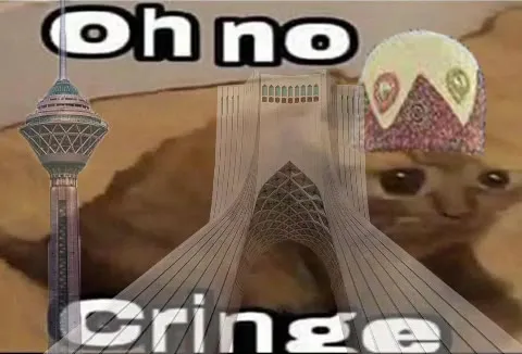 Oh No Cringe Cat