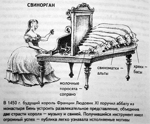 Свиноорган с поросятами