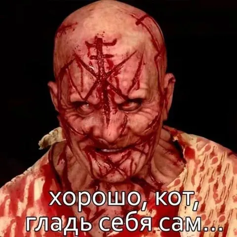Хорошо, кот, гладь себя сам