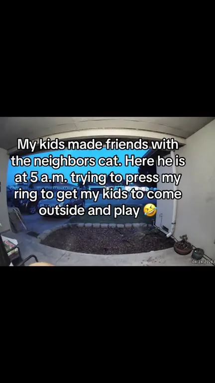 Neighbor Cat Rings the Doorbell