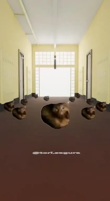 Кошачий хор в коридоре