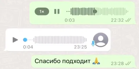 Спасибо подходит, а потом динозавр