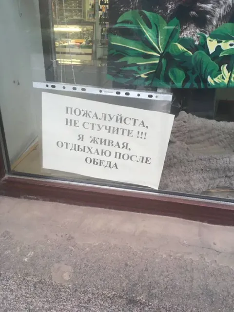 Живая отдыхает после обеда
