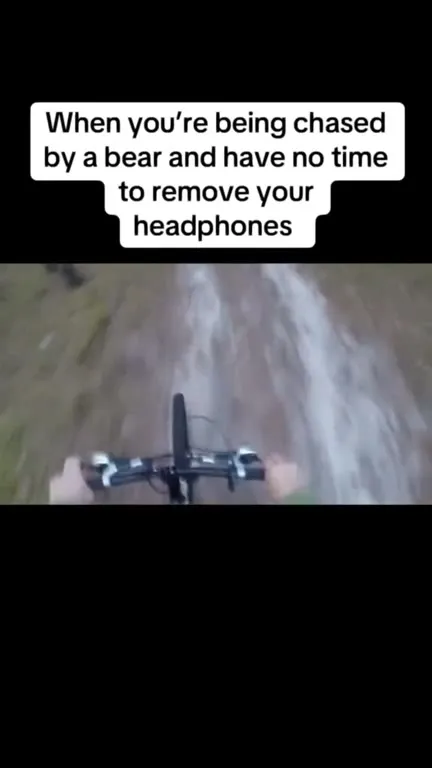 Bear Chase With Headphones