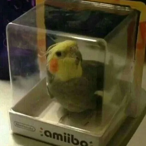 Parrot Amiibo