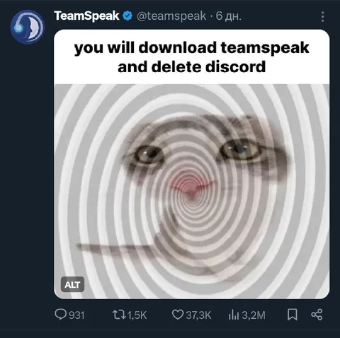You Will Download TeamSpeak
