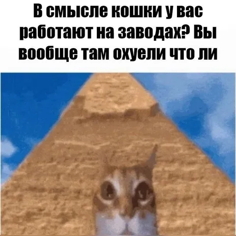 Кошки работают на заводах