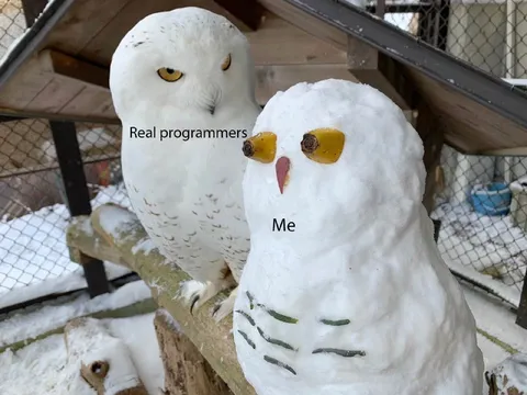 Real Programmers vs Me