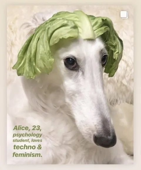 Alice Loves Techno and Feminism