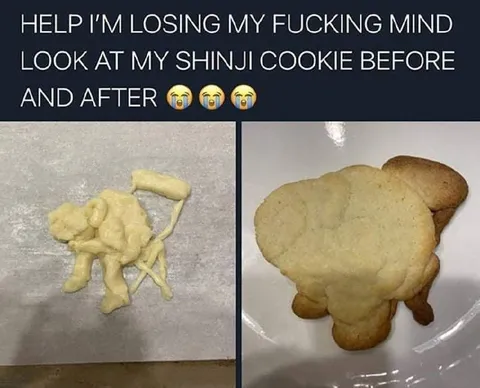 Shinji Cookie Before and After