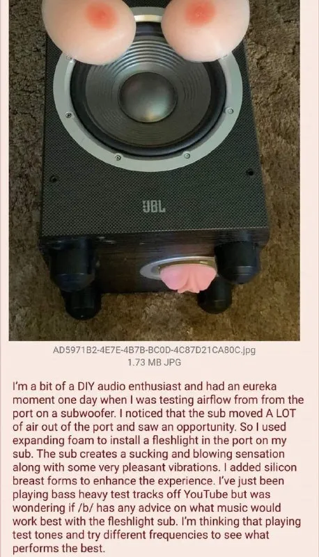 Fleshlight Subwoofer Experiment