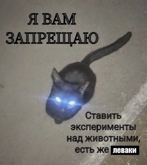 Я вам запрещаю эксперименты