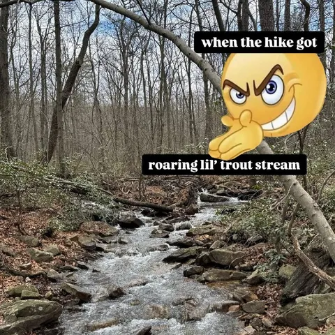 When the Hike Got Loud