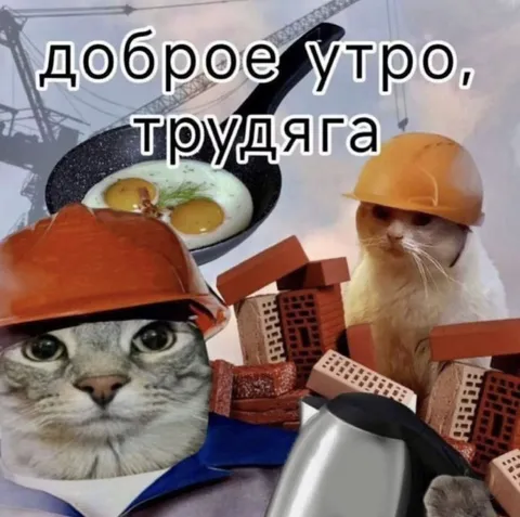 Доброе утро, трудяга