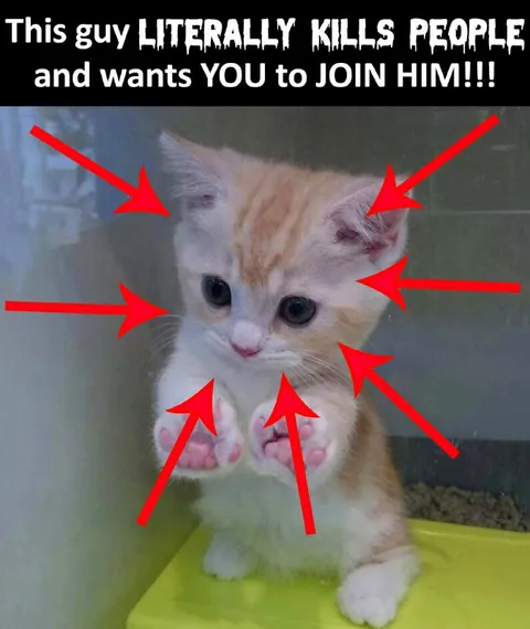 Kitten Literally Kills People