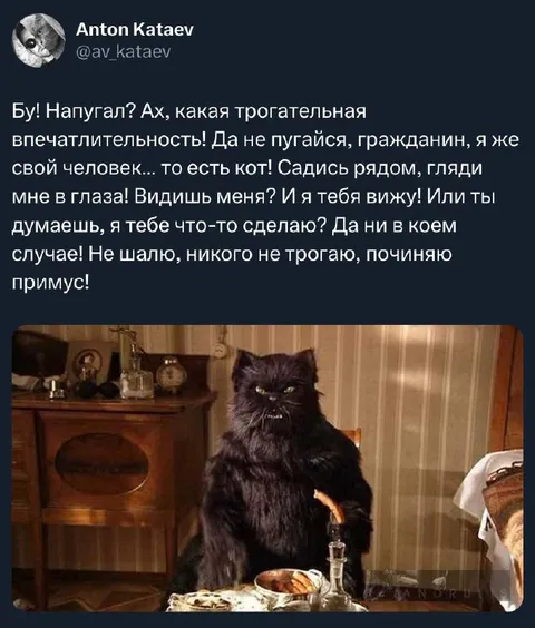 Кот чинит примус