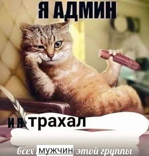 Я админ и я трахал