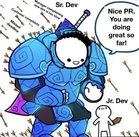 Senior Developer Shielding Junior Developer