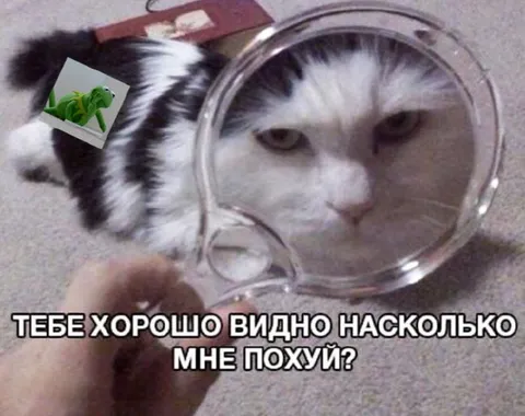 Тебе хорошо видно, мне похуй?